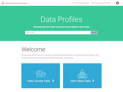 Screenshot of SEOW Data Profiles website.